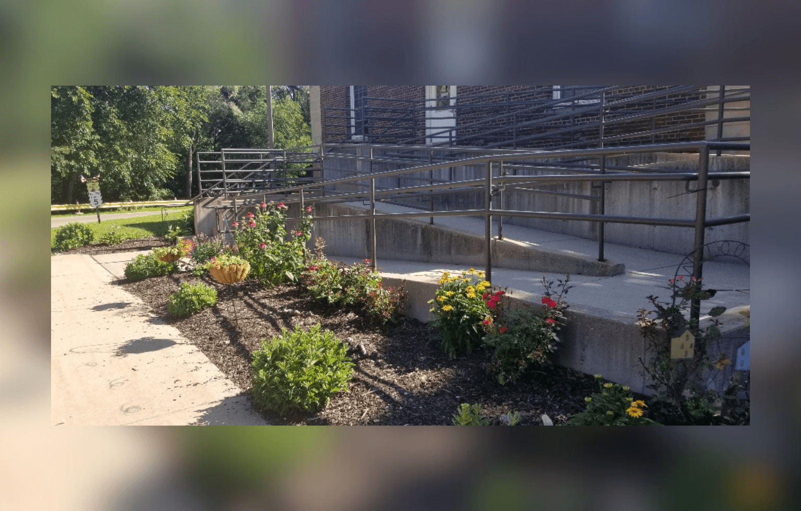 A garden with a variety of plants and flowers in the foreground and a metal fence in the background.